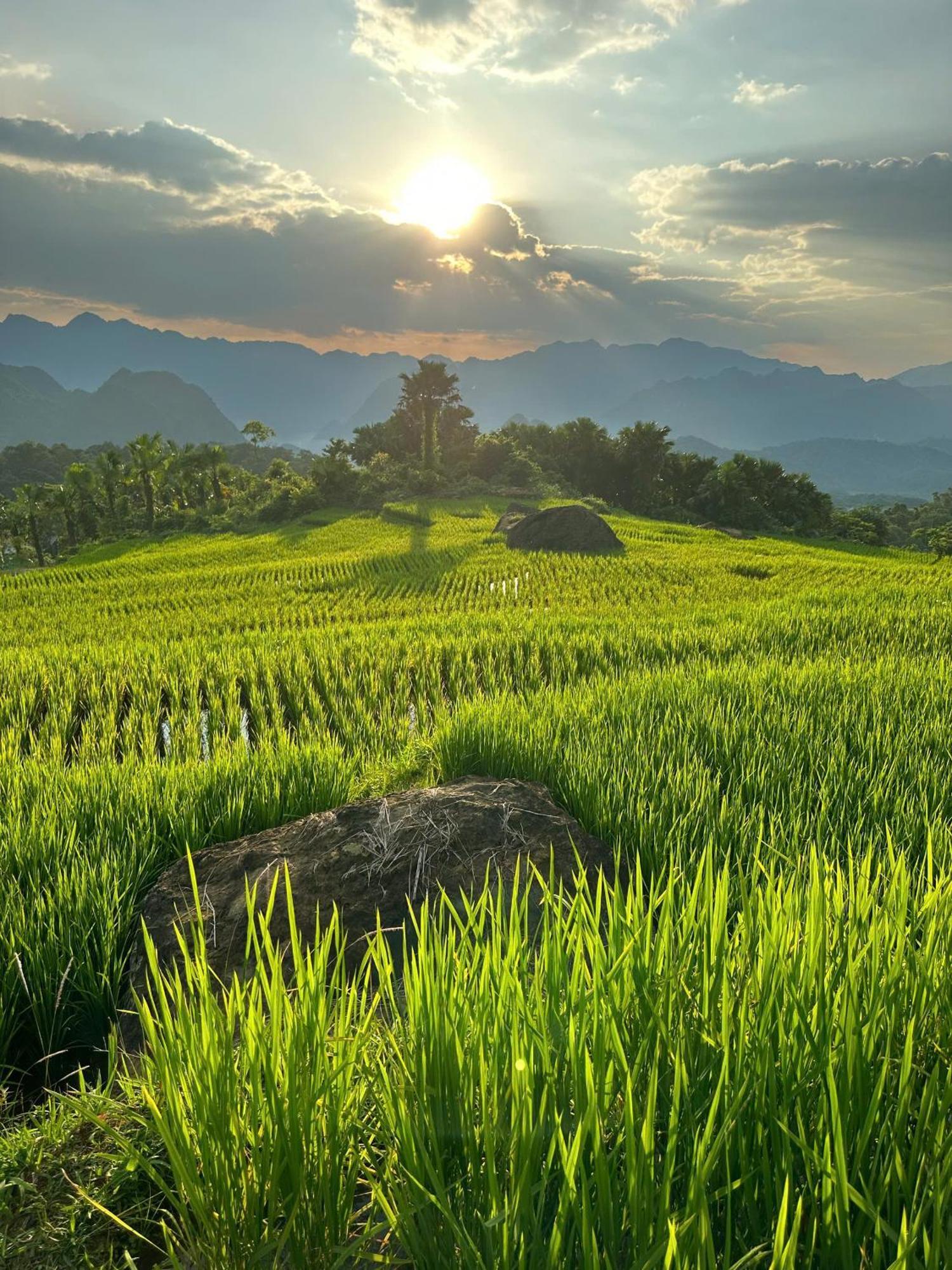 فندق Pu Luong Boutique Garden المظهر الخارجي الصورة